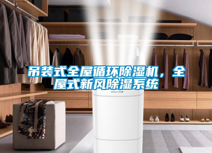 吊裝式全屋循環(huán)除濕機(jī)，全屋式新風(fēng)除濕系統(tǒng)