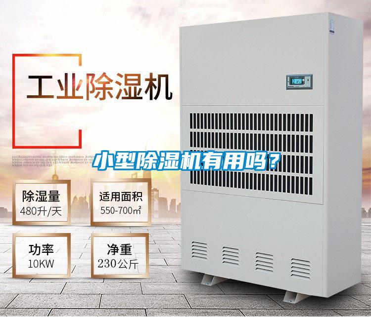 小型除濕機有用嗎？