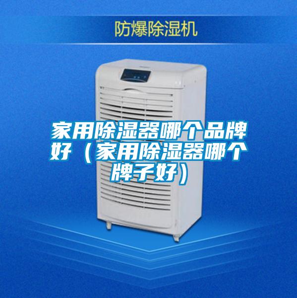 家用除濕器哪個品牌好(家用除濕器哪個牌子好)