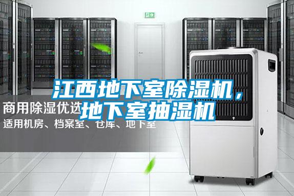 江西地下室除濕機(jī)，地下室抽濕機(jī)