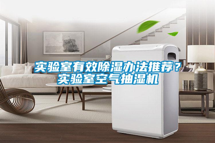 實驗室有效除濕辦法推薦？實驗室空氣抽濕機