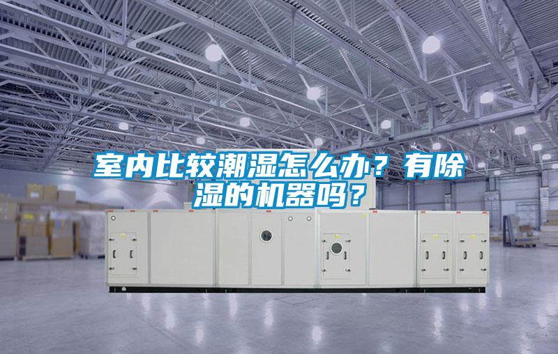 室內比較潮濕怎么辦？有除濕的機器嗎？