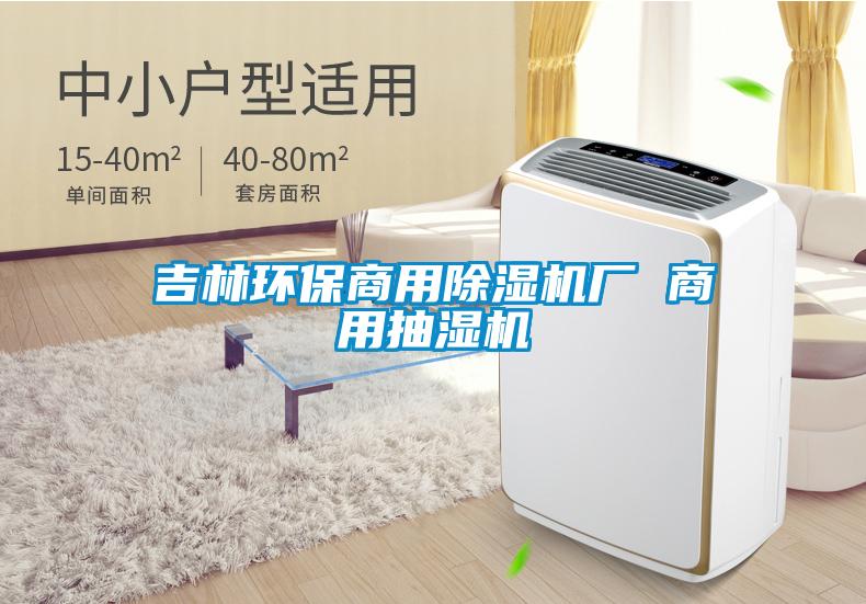 吉林環保商用除濕機廠 商用抽濕機
