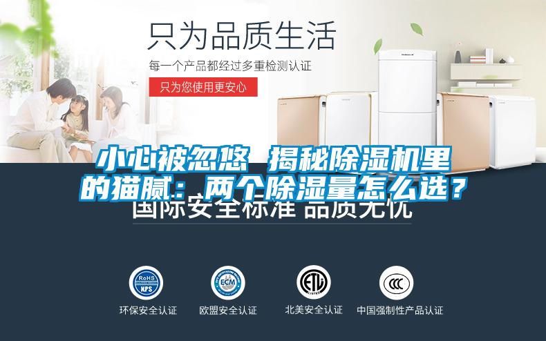 小心被忽悠 揭秘除濕機里的貓膩：兩個除濕量怎么選？