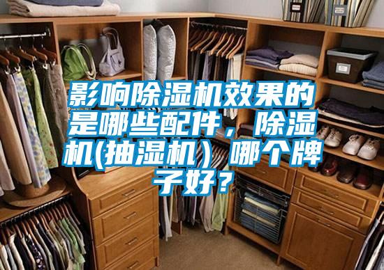 影響除濕機效果的是哪些配件，除濕機(抽濕機）哪個牌子好？