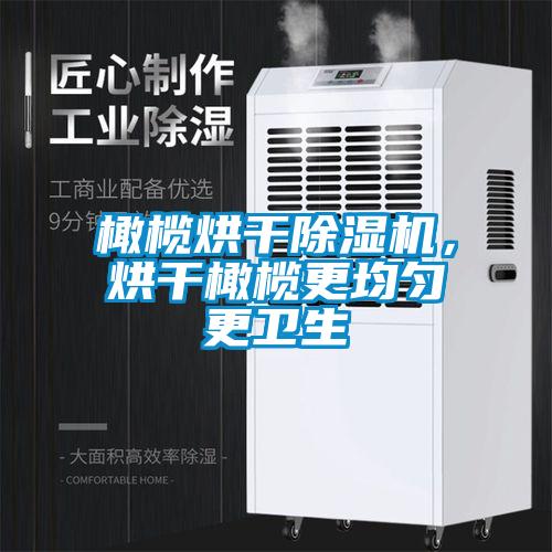 橄欖烘干除濕機，烘干橄欖更均勻更衛生