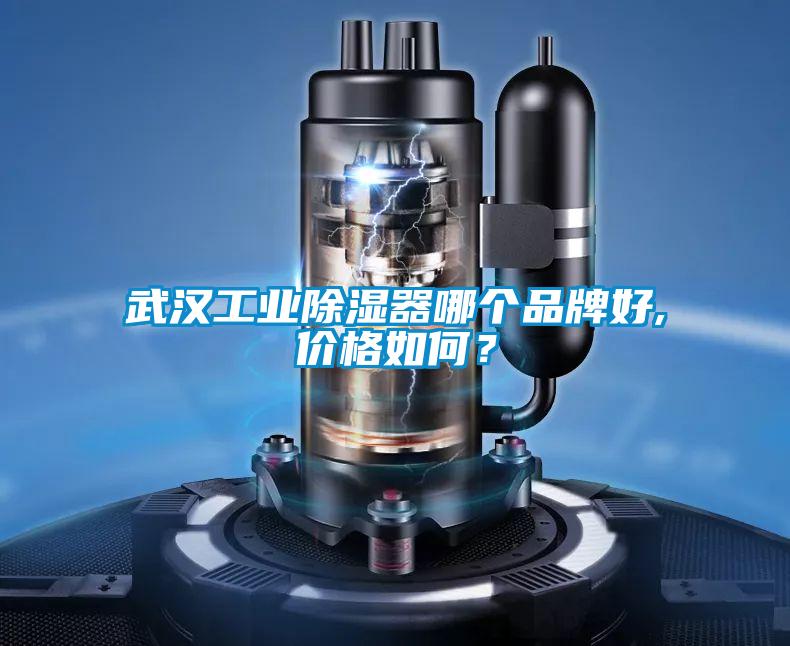 武漢工業(yè)除濕器哪個品牌好,價格如何?
