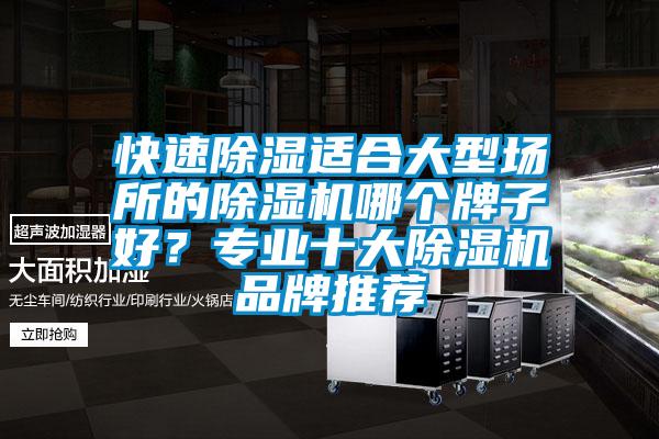 快速除濕適合大型場所的除濕機哪個牌子好？專業(yè)十大除濕機品牌推薦