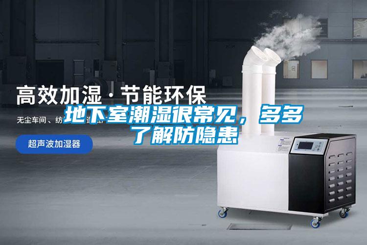 地下室潮濕很常見，多多了解防隱患