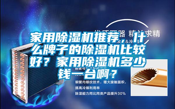 家用除濕機推薦，什么牌子的除濕機比較好？家用除濕機多少錢一臺?。?/></p>
						    <p style=