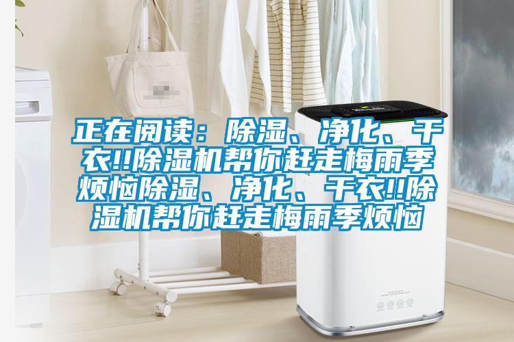 正在閱讀：除濕、凈化、干衣!!除濕機幫你趕走梅雨季煩惱除濕、凈化、干衣!!除濕機幫你趕走梅雨季煩惱