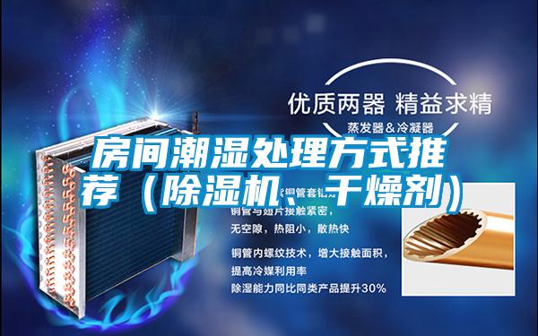 房間潮濕處理方式推薦(除濕機、干燥劑)