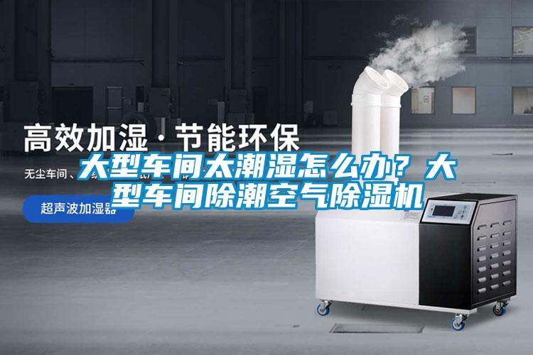 大型車間太潮濕怎么辦？大型車間除潮空氣除濕機