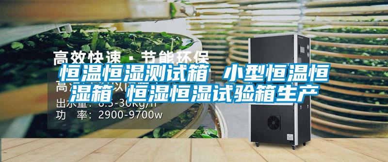 恒溫恒濕測試箱 小型恒溫恒濕箱 恒濕恒濕試驗(yàn)箱生產(chǎn)