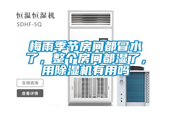 梅雨季節(jié)房間都冒水了，整個房間都濕了，用除濕機(jī)有用嗎