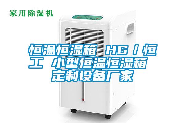 恒溫恒濕箱 HG/恒工 小型恒溫恒濕箱 定制設備廠家