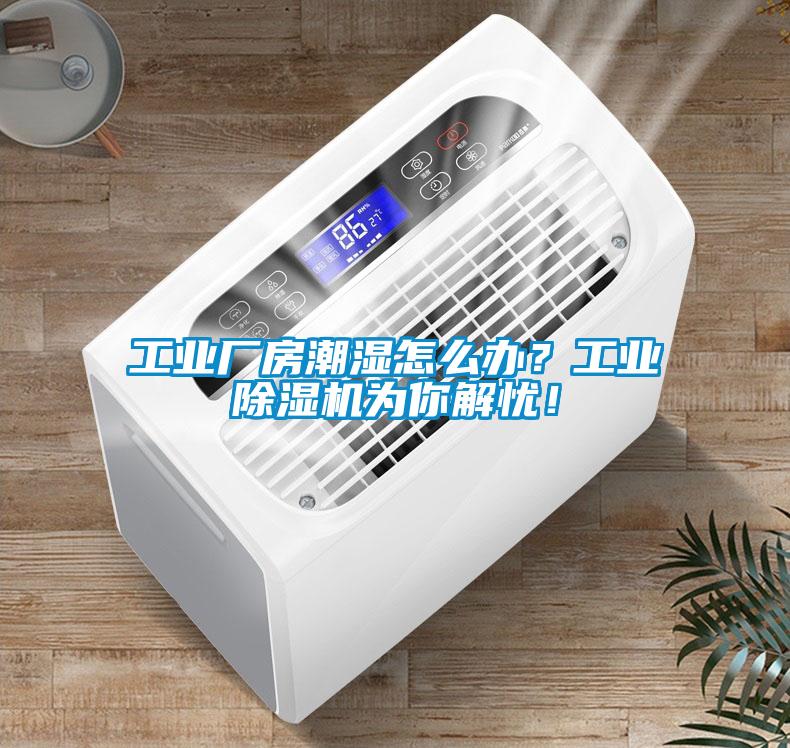 工業(yè)廠房潮濕怎么辦？工業(yè)除濕機為你解憂！