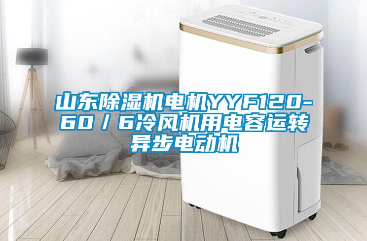 山東除濕機電機YYF120-60/6冷風(fēng)機用電容運轉(zhuǎn)異步電動機