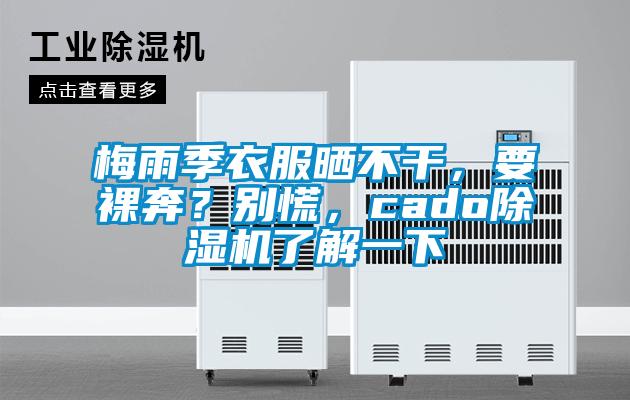 梅雨季衣服曬不干，要裸奔？別慌，cado除濕機(jī)了解一下