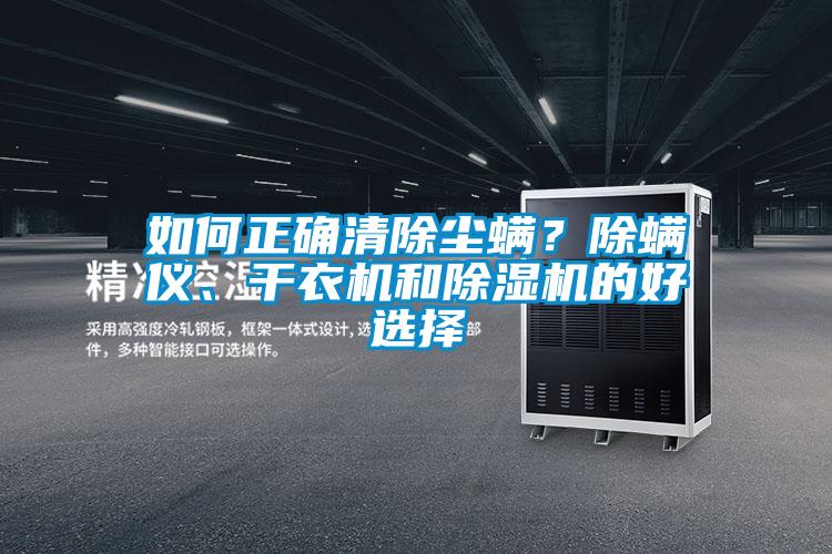 如何正確清除塵螨？除螨儀、干衣機和除濕機的好選擇