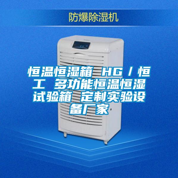 恒溫恒濕箱 HG/恒工 多功能恒溫恒濕試驗箱 定制實驗設備廠家