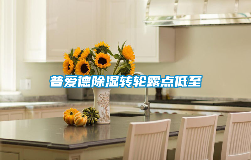 普愛德除濕轉(zhuǎn)輪露點(diǎn)低至