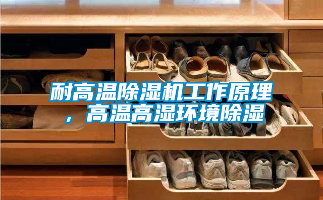 耐高溫除濕機(jī)工作原理，高溫高濕環(huán)境除濕