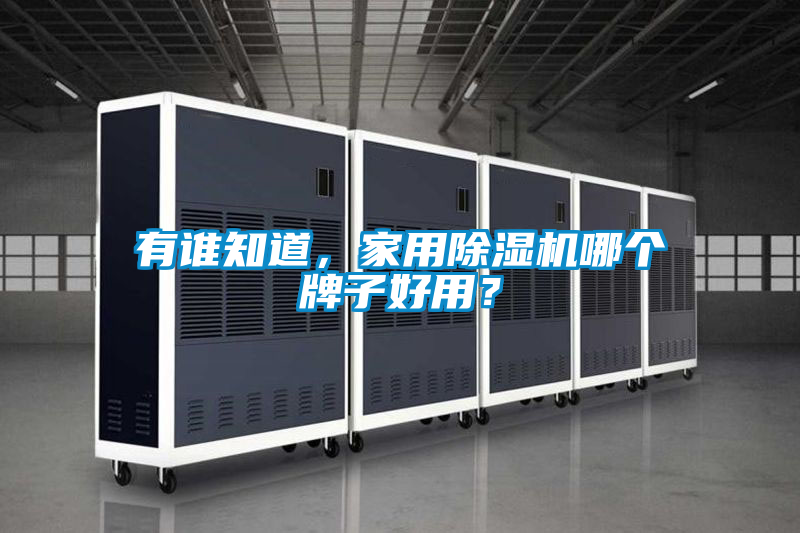 有誰知道，家用除濕機哪個牌子好用？