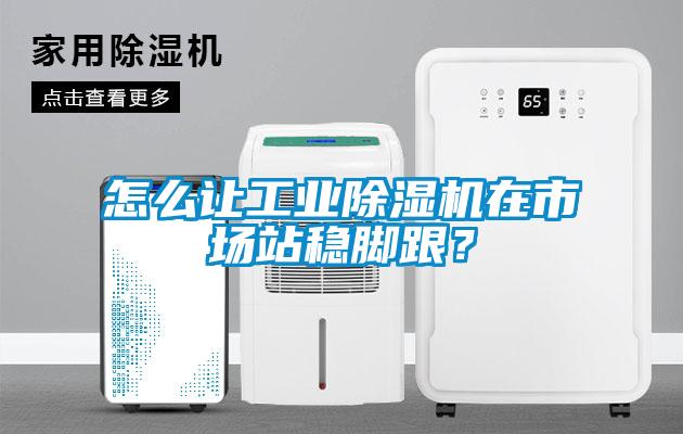 怎么讓工業除濕機在市場站穩腳跟?