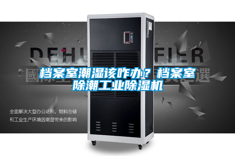 檔案室潮濕該咋辦？檔案室除潮工業除濕機