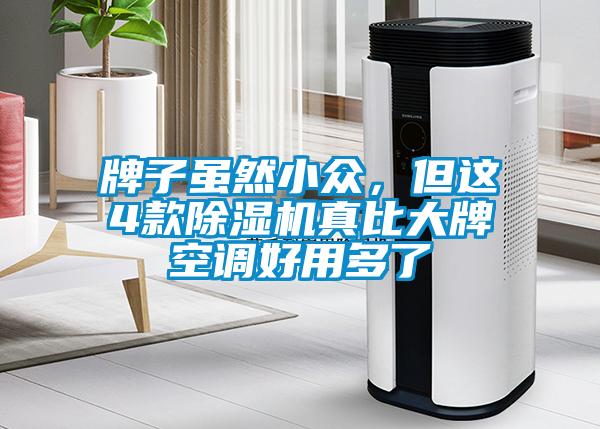 牌子雖然小眾,但這4款除濕機真比大牌空調好用多了