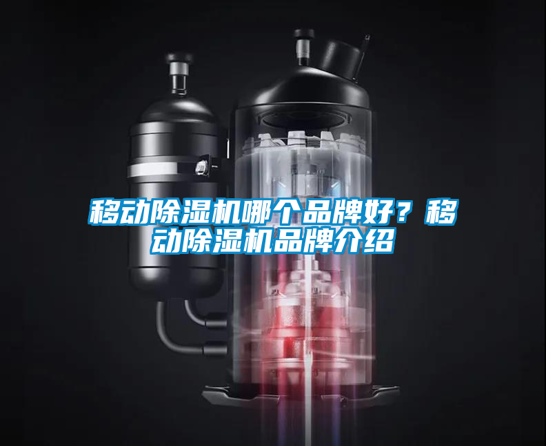 移動除濕機哪個品牌好?移動除濕機品牌介紹