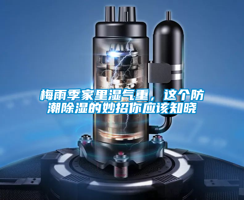 梅雨季家里濕氣重，這個防潮除濕的妙招你應(yīng)該知曉
