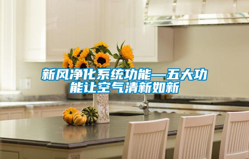 新風凈化系統(tǒng)功能—五大功能讓空氣清新如新