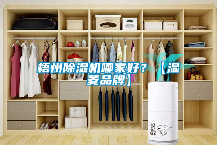 梧州除濕機哪家好？【濕菱品牌】