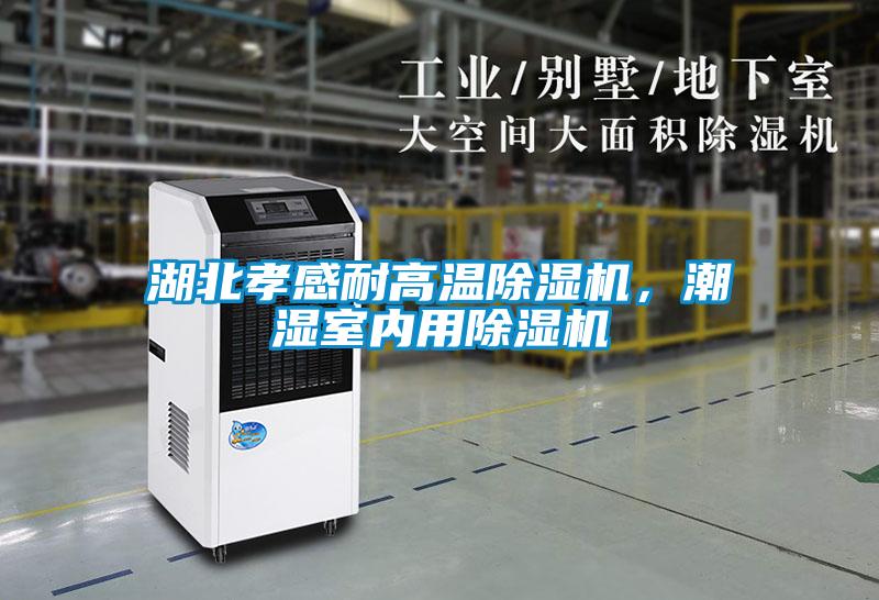 湖北孝感耐高溫除濕機，潮濕室內用除濕機
