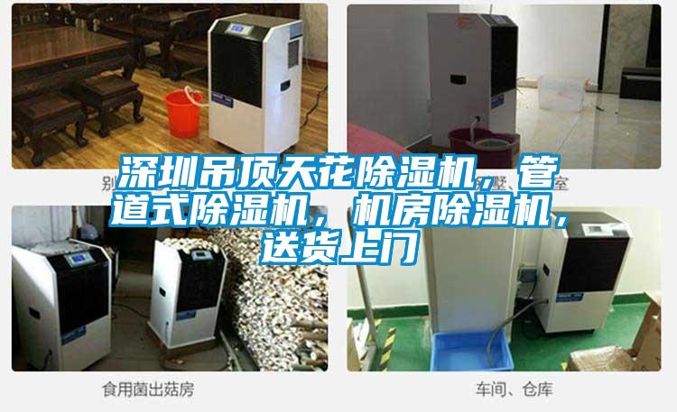 深圳吊頂天花除濕機，管道式除濕機，機房除濕機，送貨上門