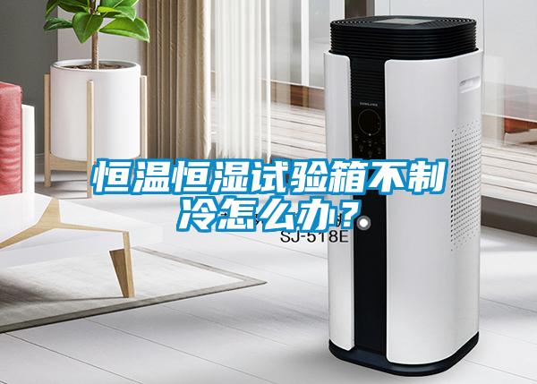 恒溫恒濕試驗箱不制冷怎么辦？