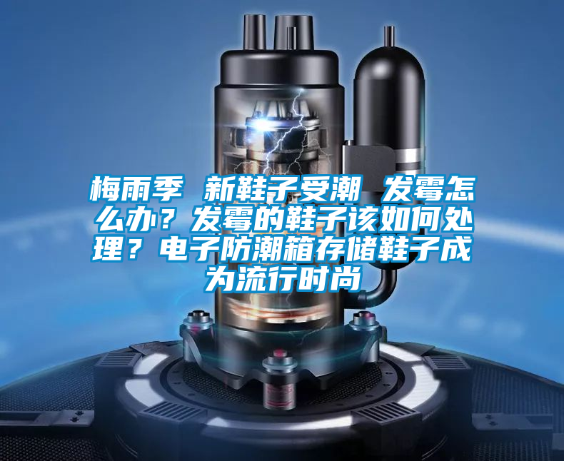 梅雨季 新鞋子受潮 發霉怎么辦？發霉的鞋子該如何處理？電子防潮箱存儲鞋子成為流行時尚