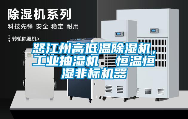 怒江州高低溫除濕機，工業抽濕機  恒溫恒濕非標機器