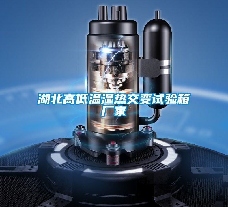 湖北高低溫濕熱交變?cè)囼?yàn)箱廠(chǎng)家