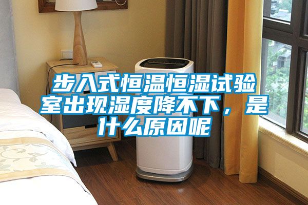 步入式恒溫恒濕試驗(yàn)室出現(xiàn)濕度降不下，是什么原因呢