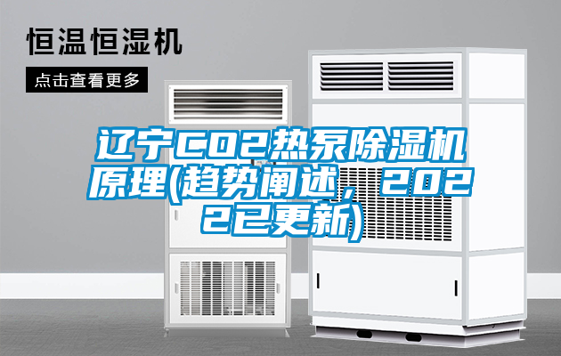 遼寧CO2熱泵除濕機(jī)原理(趨勢(shì)闡述，2022已更新)
