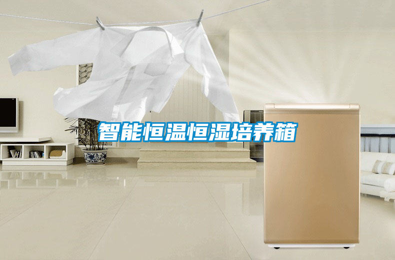 智能恒溫恒濕培養箱