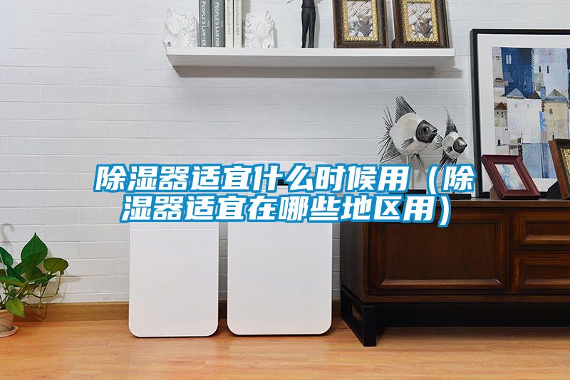除濕器適宜什么時候用(除濕器適宜在哪些地區用)