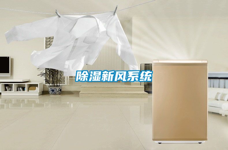 除濕新風系統