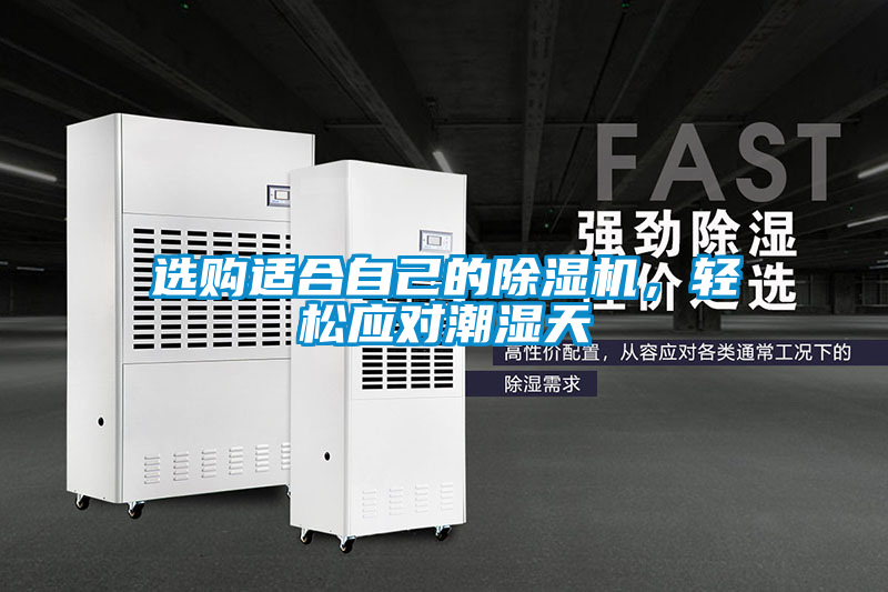 選購適合自己的除濕機(jī)，輕松應(yīng)對潮濕天