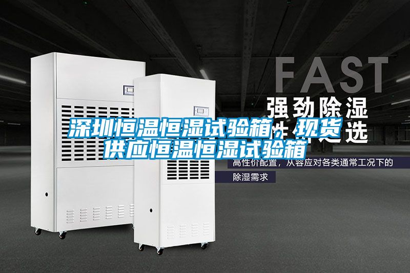 深圳恒溫恒濕試驗箱，現(xiàn)貨供應恒溫恒濕試驗箱