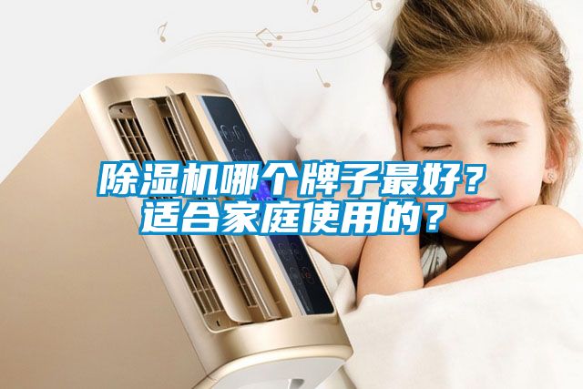 除濕機哪個牌子最好？適合家庭使用的？