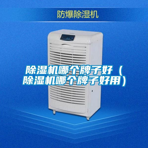 除濕機(jī)哪個(gè)牌子好(除濕機(jī)哪個(gè)牌子好用)